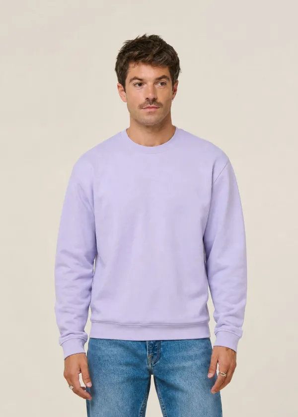 Sweat oversize en coton bio | lilas, WeDressFair