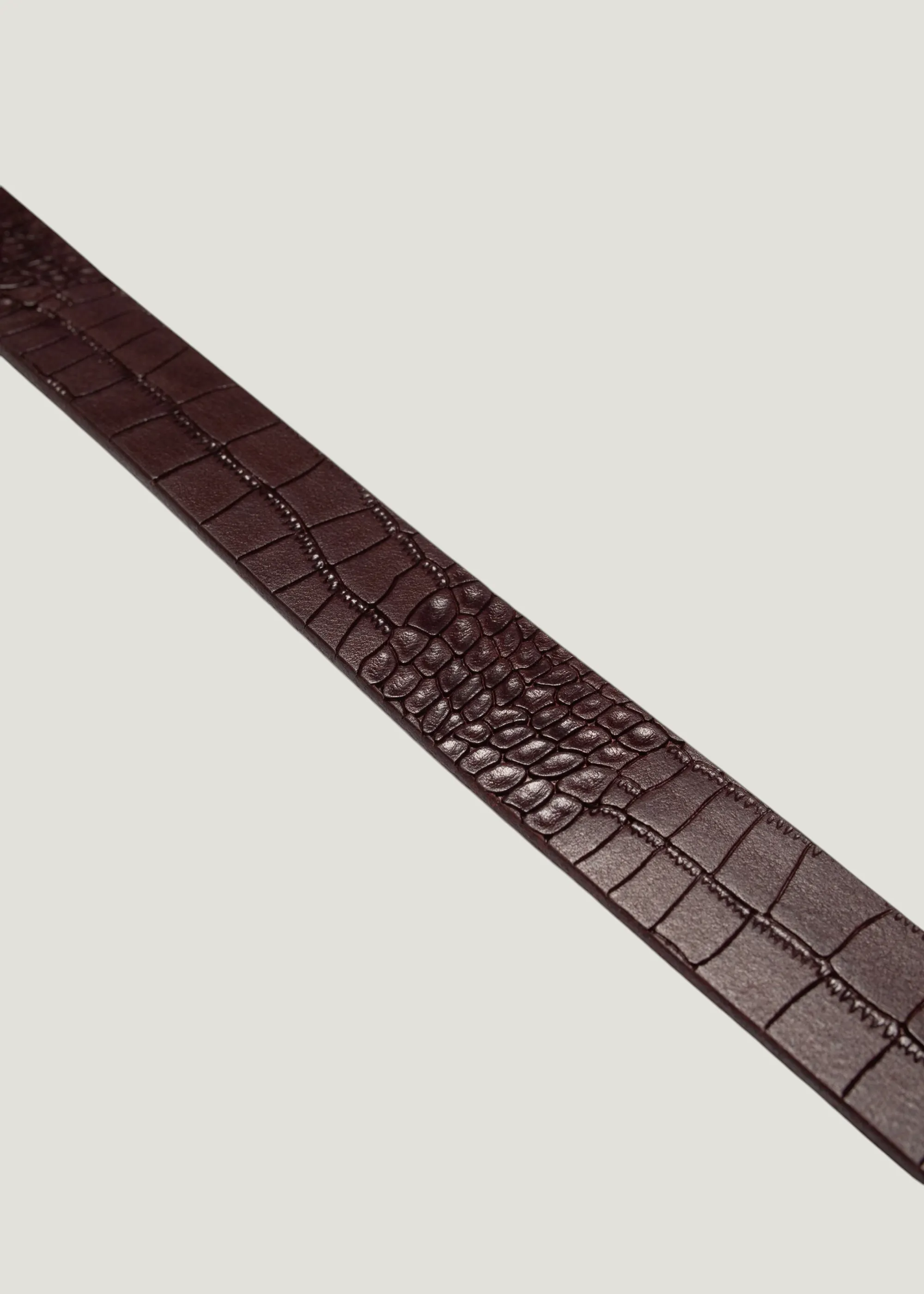 Ceinture en cuir tannage végétal | bordeaux "Western faux croco silver belt - burgundy", Nudie Jeans, photo 3