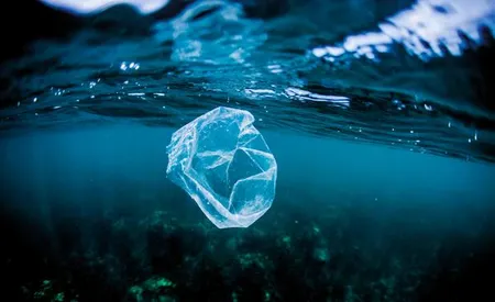 Déchet plastique dans l'océan© SEAQUAL