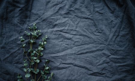 ©Annie Spratt