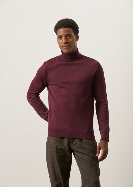 Pull col roulé fin en coton bio | bordeaux - WeDressFair