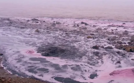 Capture d'écran du film River Blue, documentaire traitant des effets de l'industrie mondiale de la mode sur la pollution des eaux. | © RiverBlue