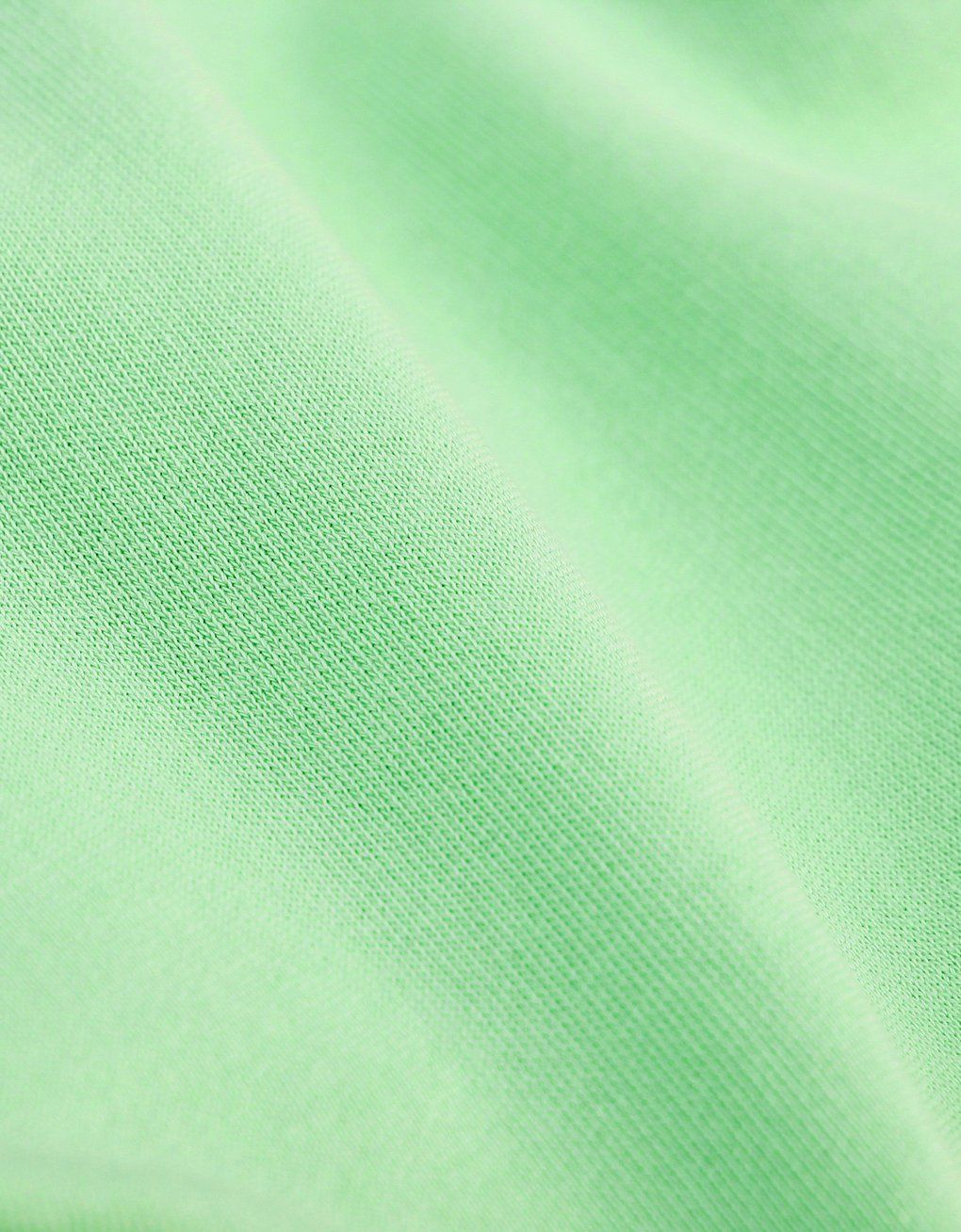 Sweat à capuche vert menthe en coton bio - faded mint, Colorful Standard, photo 2