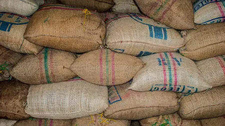 Les utilisations du jute pour les emballages agricoles