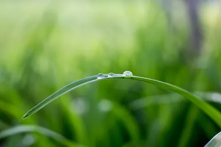 jute fibre naturelle eco responsable
