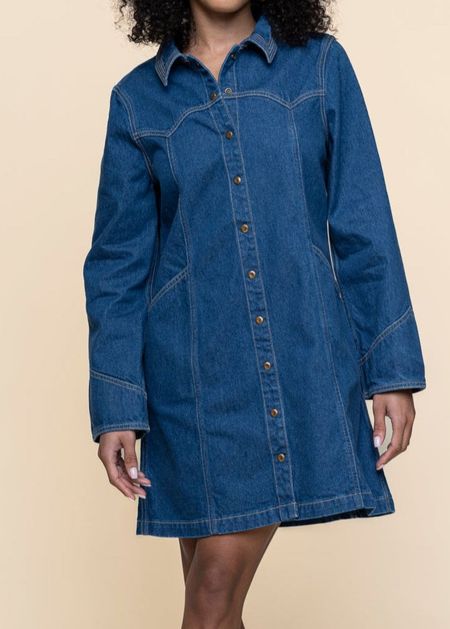 Robe denim en coton biologique | bleu "maj western denim dress - blue" - Nudie Jeans