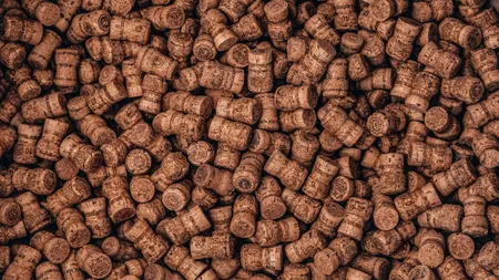 © Kirill Shavlo | Unsplash