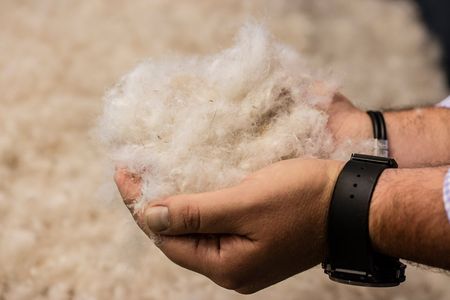 photo de Duvet recyclé