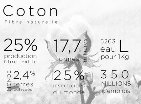 Les chiffres du coton dans le monde (2018)