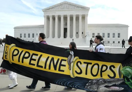 Forêt Dvina-Pinega | ©WWFManifestation contre le projet Atlantic Coast Pipeline, devant la Cour Suprême des États-Unis, 24 février 2020. | Mark Wilson/Getty Images.
