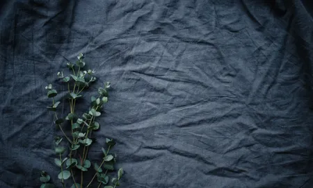 ©Annie Spratt