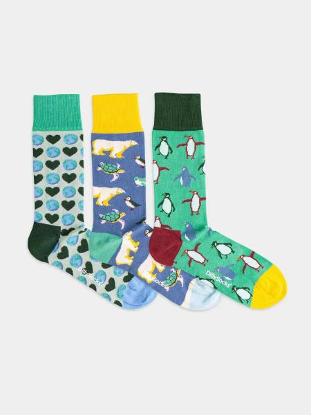 Pack 3 paires chaussettes en coton bio | multicolore "climate box" - Dilly socks