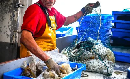 Un pêcheur qui trie les déchets plastiques.© SEAQUAL