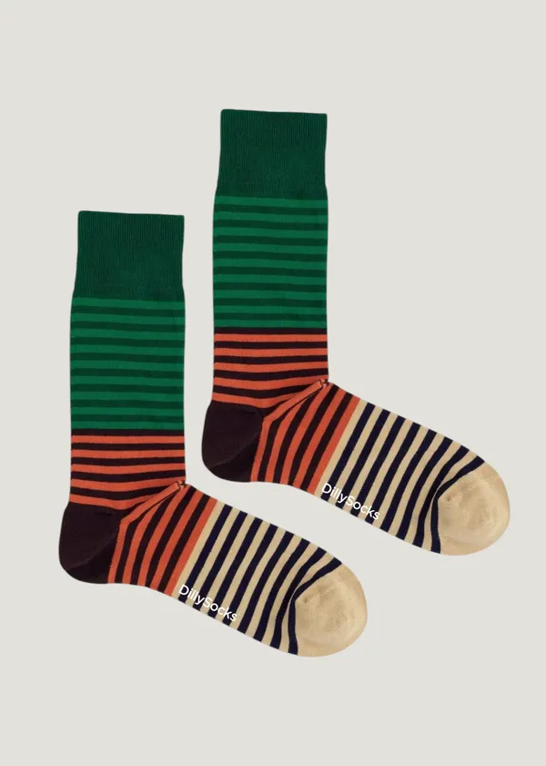 Chaussettes en coton bio | multicolore "groove stripes", Dilly socks
