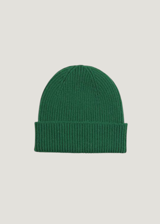 Bonnet en laine mérinos recyclée | vert "merino wool beanie - kelly green", Colorful Standard, photo 1
