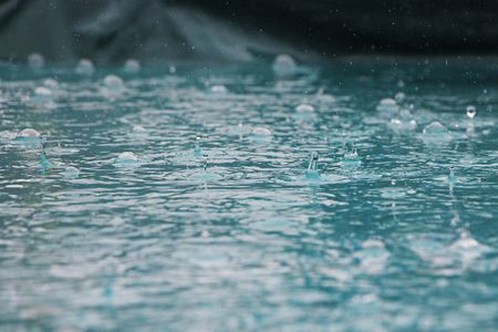 Le jute pousse dans un climat pluvieux