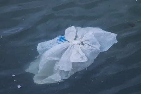 Est-ce que ça ne vous énerve pas de voir ce sac plastique au milieu de l'eau ? Imaginez les par milliers | © Brian Yurasits / Unsplash