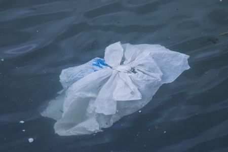Est-ce que ça ne vous énerve pas de voir ce sac plastique au milieu de l'eau ? Imaginez les par milliers | © Brian Yurasits / Unsplash