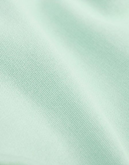 Sweat à capuche vert d'eau en coton bio - light aqua, Colorful Standard, photo 2