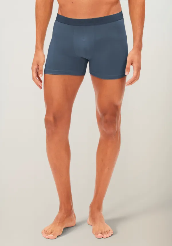 Boxer en modal | bleu "Ricaard boxer brief - dusty moon", Armedangels