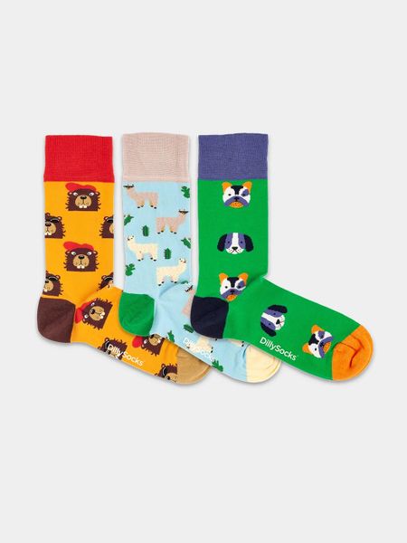 Pack 3 paires de chaussettes en coton bio | multicolore "paws & friends" - Dilly socks