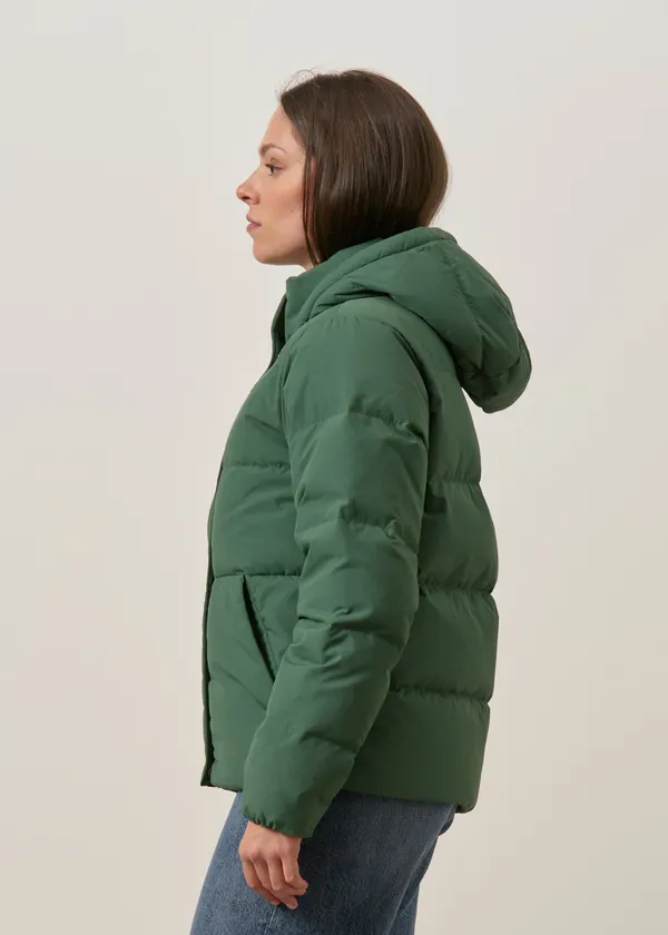 Doudoune en matières recyclées | vert "Sisar down hoody jkt - cngr", Patagonia